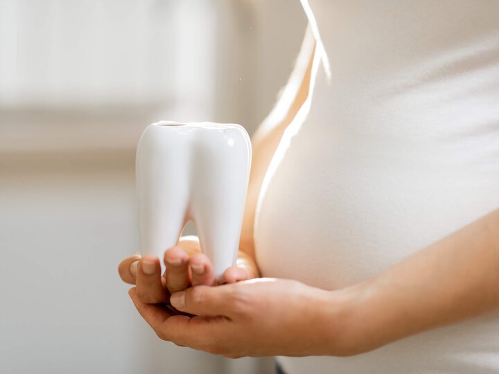 Schwangere hält vor ihrem Bauch einen großen Zahn in Ihren Händen